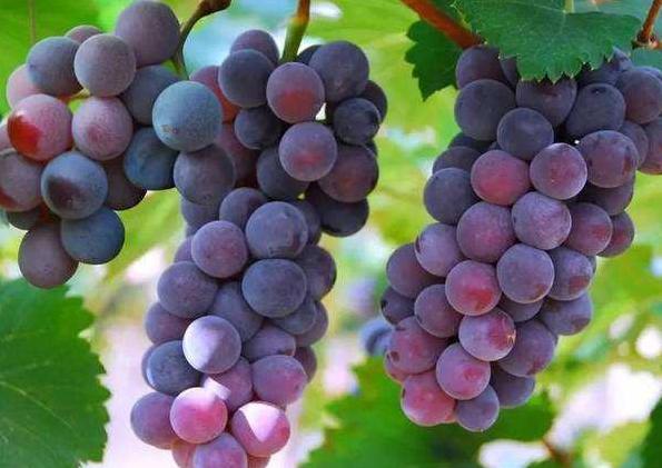 在阜阳，有这样一个地方