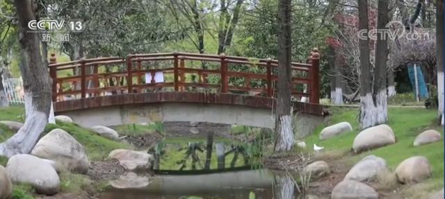 央视报道阜阳!嫩柳清风西湖好 游人相将踏青来